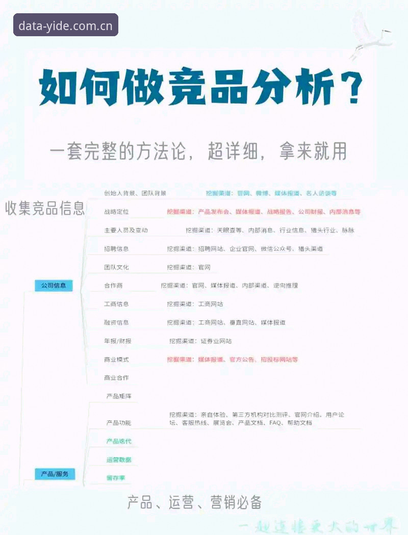 亿德体育平台功能全面解析：与竞品深度对比分析