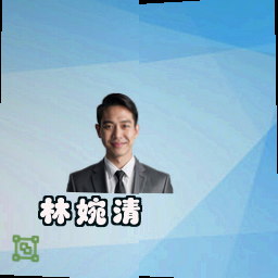 林婉清